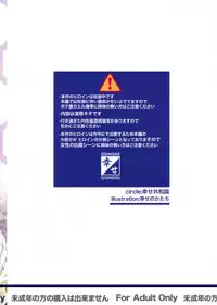 (C88) [Shiawase Kyouwakoku (Shiawase no Katachi)] Katashibu 40-shuu + Kaijou Genteibon [English] [P²-Translations]