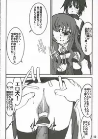 (C70) [FLAT & SLIT RACING 66 (Mu Mu Munou)] Hajimete no Inu (Zero no Tsukaima)