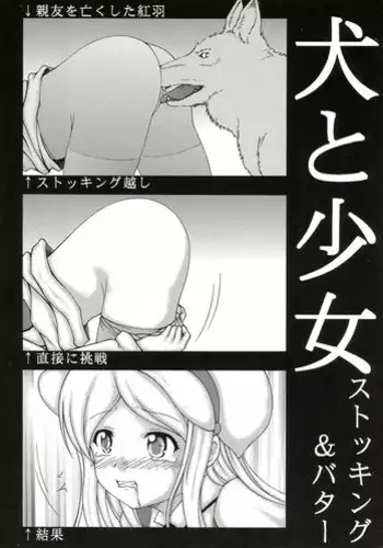 Arashi no Bouken