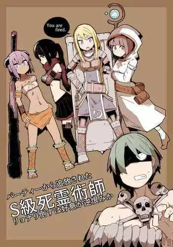 Party kara Tsuihou Sareta  S-kyuu Shiryoujutsushi