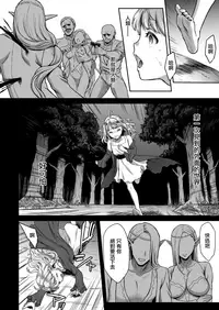 [H.B.A (Usagi Nagomu)] Tasogare no Shou Elf 4 [Chinese] [無邪気漢化組] [Digital]
