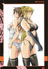 Bible Black バイブルブラック ゲーム&アニメーション公式設定資料集