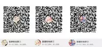 (C94) [Aoirokanata (Shikitani Asuka)] Chikan Addiction (Touhou Project) [Chinese] [脸肿汉化组]