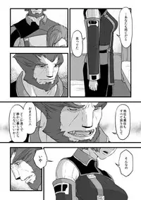 [奈津ミカ]共　有【ラオグリム×コーネリア】 (ファイナルファンタジーXI)