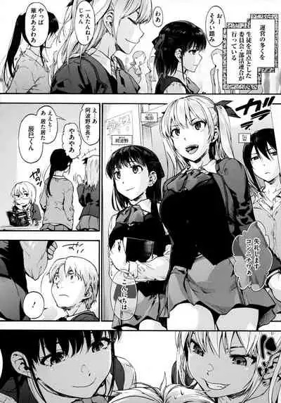 Harem Cult side HAREM