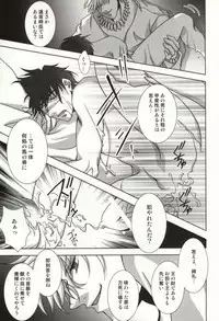 (C81) [Einsatz (snb)] The Apocalypse ~Mokushiroku~ (Fate/Zero)