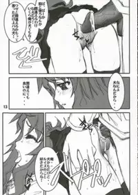 (C70) [FLAT & SLIT RACING 66 (Mu Mu Munou)] Hajimete no Inu (Zero no Tsukaima)