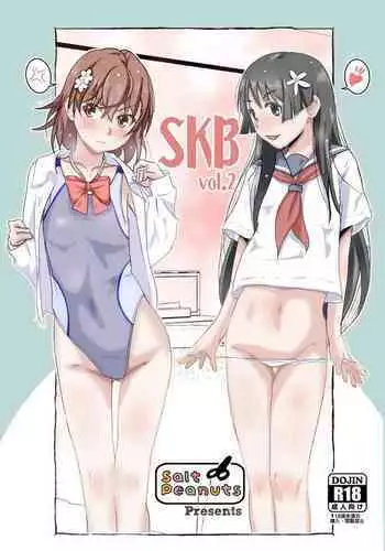 SKB vol. 2