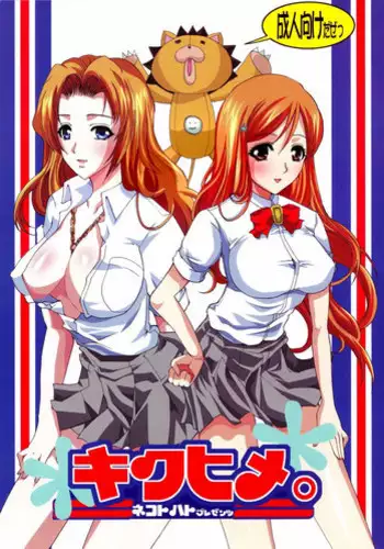 (C91) [A La Fraise (NEKO)] EVER AFTER ㅣ에버 애프터 (Bleach) [Korean]